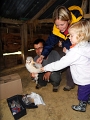 20110617 RINGING FOUR BABY OWLS AT LE BOSQUET 11